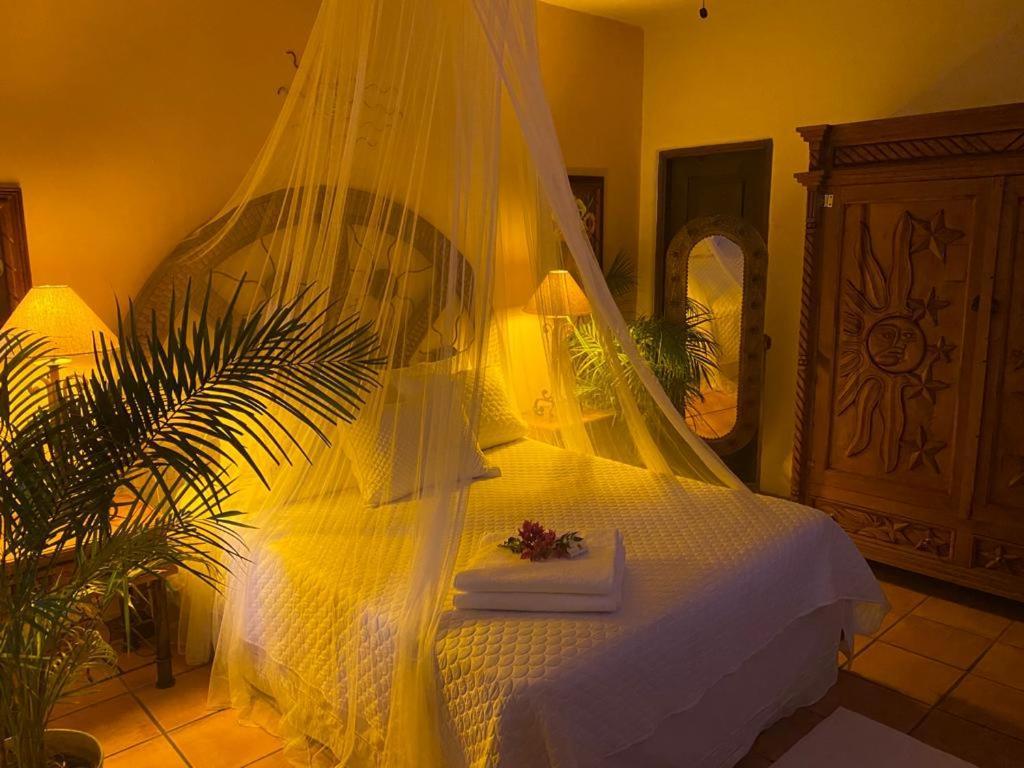 The Mexican Inn Кабо-Сан-Лукас Экстерьер фото
